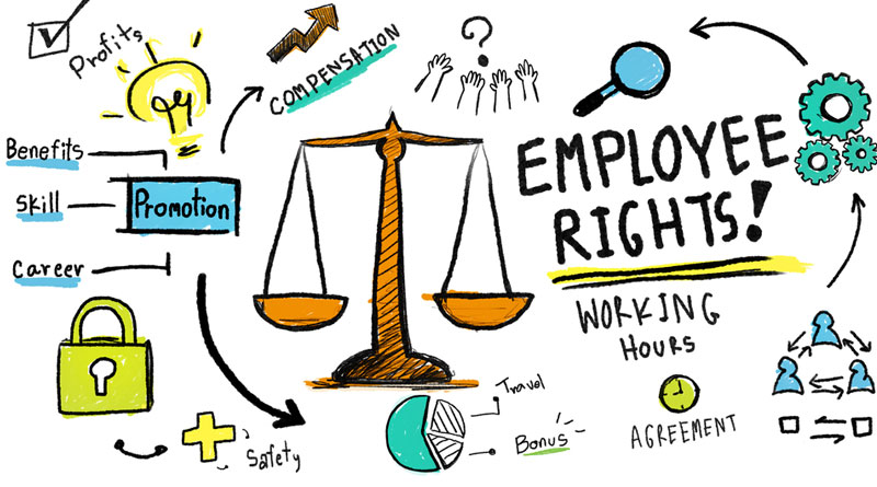 south-african-labour-law